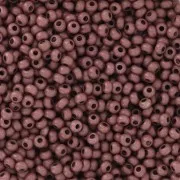 Cuentas de Rocalla Preciosa 11/0 de 2 mm - Terra Intensive - Marrón oscuro mate x 20 g