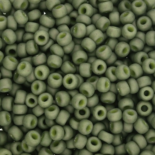 Rocaille Miyuki 8/0 2318 - Oliva Opaco Mate x8g