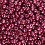 Rocaille Miyuki Duracoat 8/0 4219 - Magenta Galvanizado x8g|raw }}