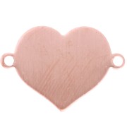 Entrepieza de núcleo 16x23 mm para polvo de sobreglaseado Efcolor en cobre x1