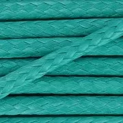 Cordón polyester estilo piel de serpiente 2 mm Light Emerald x2m