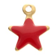 Dijes estrella 6x5 mm con resina epoxi - Acero inoxidable 304 Dorado - Rojo x4
