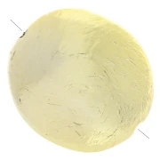 32x29 mm perla ovalada con efecto estriado en acrílico metalizado CCB - Dorado x1