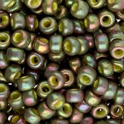 Rocaille Miyuki 6/0 1897 - Op Oliva Dorado Lustre x8g|raw }}