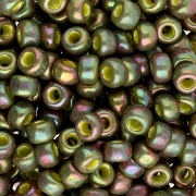 Rocaille Miyuki 6/0 1897 - Op Oliva Dorado Lustre x8g