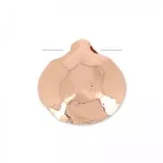 Plana Briolette 8.5 mm dorado rosa HQ x1