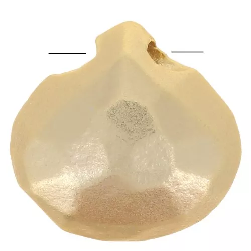 Plana Briolette 8.5 mm dorado con oro fino satinada x1