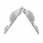 Tapa de nudo de 4 mm con anillos cerrados - Acero inoxidable 304L x20