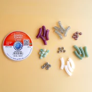 Mes bijoux DIY - Kit de 4 pulseras elásticas con cuentas tubulares Versión Plata