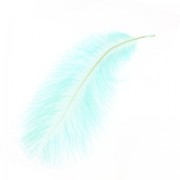 Pluma de avestruz 15-20 cm Mint x1|raw }}