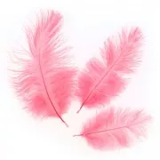 Pluma de avestruz 15-20 cm Mint x1