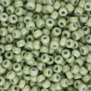 Rocaille Miyuki Duracoat 8/0 4473 - Hinojo teñido opaco x8g