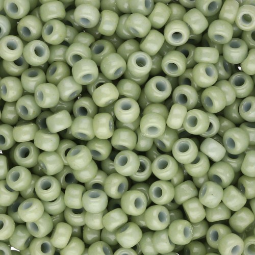 Rocaille Miyuki Duracoat 8/0 4473 - Hinojo teñido opaco x8g