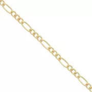 Cadena malla figaro (1x3) 1.5 mm Gold filled x50cm