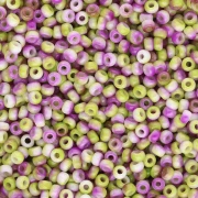 Rocaille Miyuki 11/0 55055 - Blanco Opaco Funky Orchid x8g