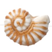 Blanco - Cuenta de cerámica de concha de caracol 21x16 mm - Blanca - Oro x1 Cuenta de cerámica de concha de caracol 21x16 mm - Blanca - Oro x1