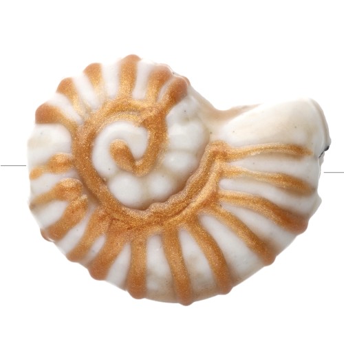 Cuenta de cerámica de concha de caracol 21x16 mm - Blanca - Oro x1