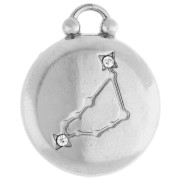 Colgante redondo reversible de 17 mm - signo zodiacal Capricornio - acero inoxidable 304 x1