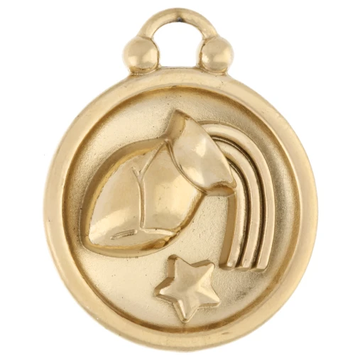 Colgante redondo reversible 17 mm signo zodiacal Acuario - Acero inoxidable 304 Oro x1