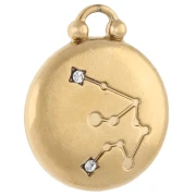 Colgante redondo reversible 17 mm signo zodiacal Acuario - Acero inoxidable 304 Oro x1