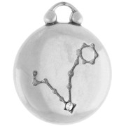 Colgante redondo reversible 17 mm signo zodiacal Piscis - acero inoxidable 304 x1