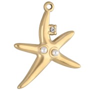 Colgante estrella de mar 22x19 mm strass y perla de imitación - Acero inoxidable 304 Gold