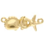 Inserto de Concha y Estrella de Mar 26x11 mm Dorado con Oro Fino - Turquesa x1