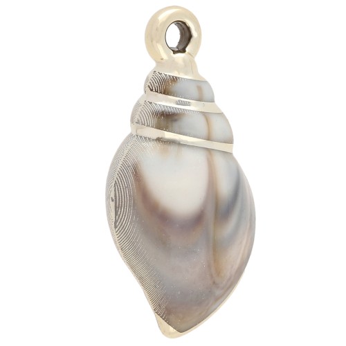 Colgante concha 43x21 mm, acrílico - Beige jaspeado - Oro x1