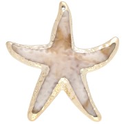 Colgante estrella de mar, 49x45,5 mm, acrílico - Beige jaspeado - Oro x1