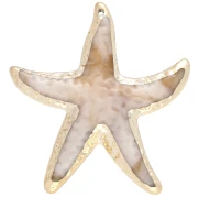 Colgante estrella de mar, 49x45,5 mm, acrílico - Beige jaspeado - Oro x1