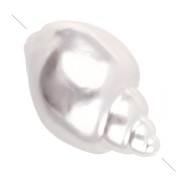 Cuenta de concha de 26 x 16 mm, imitación de perla de agua dulce - Blanco nacarado x1|raw }}