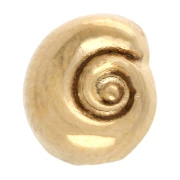 Empujador de concha espiral de 5 mm para encaje de 3 mm - Dorado con oro fino x1