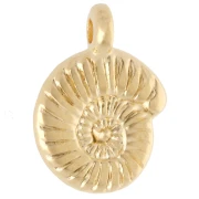 Dije de concha en espiral de 9 mm - Dorado con oro fino x1