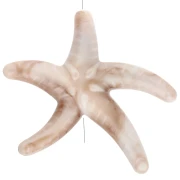 Tema marino