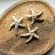 Perla acrílica estrella de mar 37x43 mm - Beige - Marrón jaspeado x1