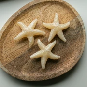 Colgante estrella de mar, 49x45 mm, acrílico - Crudo - Blanco jaspeado x1