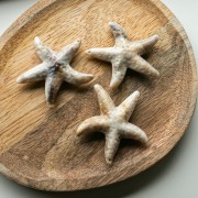 Colgante estrella de mar, 49x45 mm, acrílico - Beige - Marrón jaspeado x1