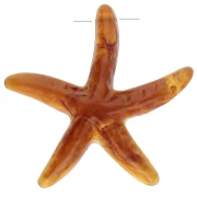 Colgante estrella de mar 37x38 mm resina - Caramelo x1