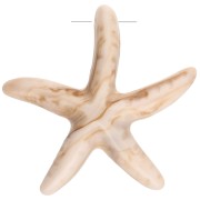 Beige - Colgante estrella de mar 37x38 mm resina - Beige - Marrón claro jaspeado x1 Colgante estrella de mar 37x38 mm resina - Beige - Marrón claro jaspeado x1