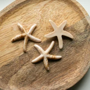Colgante estrella de mar 37x38 mm resina - Beige - Marrón claro jaspeado x1