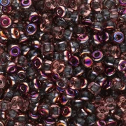 Cuentas Rocalla Miyuki 8/0 55011 - Crystal Sliperit x8 g