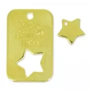 Dije placa militar 30 mm y estrella 10 mm Dorado con oro fino x1