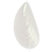 Molde de perla 34x18,5 mm en resina - Blanco iridiscente x1