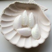 Molde de perla 34x18,5 mm en resina - Blanco iridiscente x1