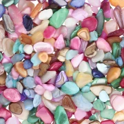 Bolsa de fragmentos de concha sin perforar y teñidos - Multicolor x 45 g