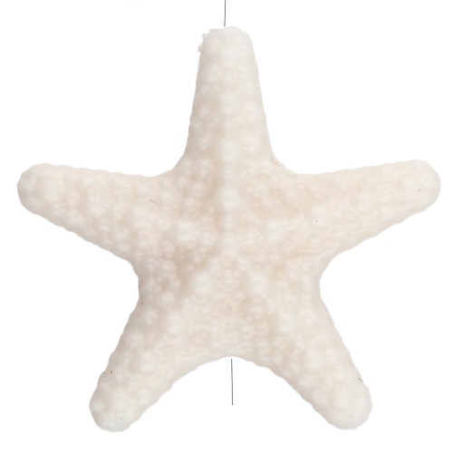 Perla estrella de mar con textura 31x33 mm en acrílico - Crema x1