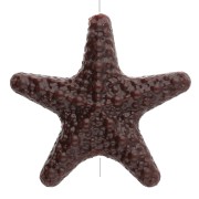 Perla estrella de mar texturada 31x33 mm en acrílico - Marrón oscuro x1