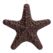 Tema marino