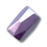 Cilindros magnéticos facetados 5x8 mm Viola x10