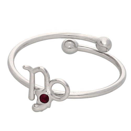 Anillo ajustable con signo del zodiaco - Capricornio - Acero inoxidable 304L - Rojo x1